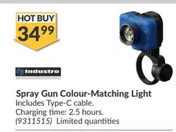 Princess Auto industro Spray Gun Colour-Matching Light offer