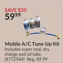 Princess Auto Mobile A/C Tune-Up Kit offer