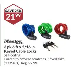 Princess Auto 3 pk 6 ft x 5/16 in. Keyed Cable Locks offer