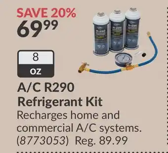 Princess Auto A/C R290 Refrigerant Kit offer