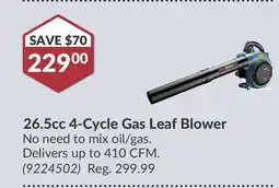 Princess Auto 26.5cc 4-Cycle Gas Leaf Blower offer
