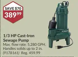 Princess Auto 1/3 HP Cast-Iron Sewage Pump offer
