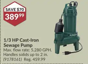 Princess Auto 1/3 HP Cast-Iron Sewage Pump offer