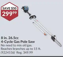 Princess Auto 8 in. 26.5cc 4-Cycle Gas Pole Saw offer