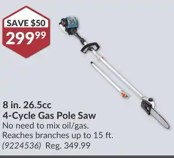 Princess Auto 8 in. 26.5cc 4-Cycle Gas Pole Saw offer