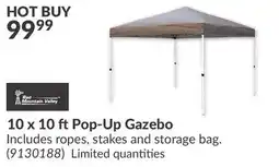 Princess Auto 10 x 10 ft Pop-Up Gazebo offer