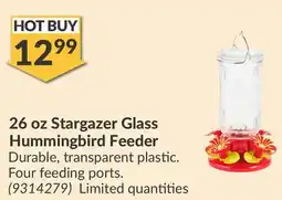 Princess Auto 26 oz Stargazer Glass Hummingbird Feeder offer