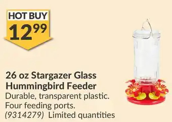Princess Auto 26 oz Stargazer Glass Hummingbird Feeder offer