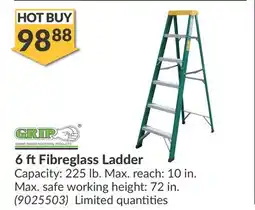 Princess Auto 6 ft Fibreglass Ladder offer