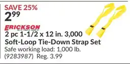 Princess Auto 2 pc 1-1/2 x 12 in. 3, 000 Soft-Loop Tie-Down Strap Set offer