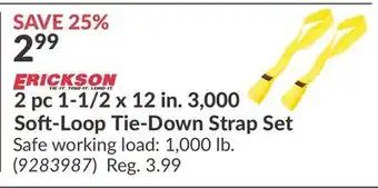Princess Auto 2 pc 1-1/2 x 12 in. 3, 000 Soft-Loop Tie-Down Strap Set offer
