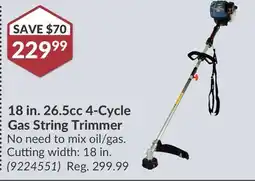 Princess Auto 18 in. 26.5cc 4-Cycle Gas String Trimmer offer
