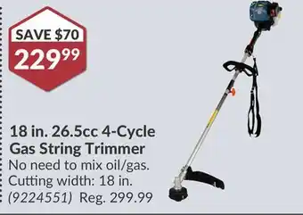 Princess Auto 18 in. 26.5cc 4-Cycle Gas String Trimmer offer