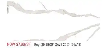 Hardwood Giant (24x48) Tiles offer