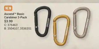 Cabela's Ascend Basic Carabiner 3-Pack offer