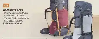 Cabela's Ascend Packs offer