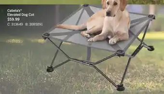 Cabela's Cabela's Elevated Dog Cot offer