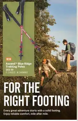 Cabela's Blue Ridge Trekking Poles offer