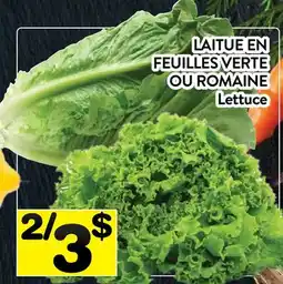 Supermarché PA LAITUE EN FEUILLES VERTE OU ROMAINE | Lettuce offer