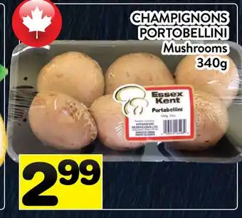 Supermarché PA CHAMPIGNONS PORTOBELLINI | MUSHROOMS offer