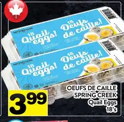Supermarché PA OEUFS DE CAILLE SPRING CREEK | QUAIL EGGS offer
