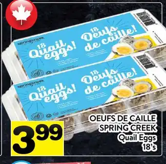 Supermarché PA OEUFS DE CAILLE SPRING CREEK | QUAIL EGGS offer