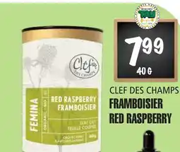 Marches Tau FRAMBOISIER RED RASPBERRY CLEF DES CHAMPS offer