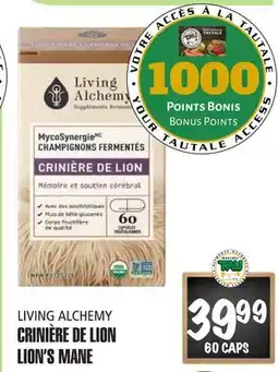 Marches Tau CRINIÈRE DE LION LIVING ALCHEMY offer