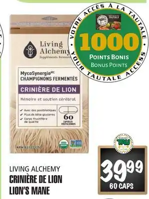 Marches Tau CRINIÈRE DE LION LIVING ALCHEMY offer