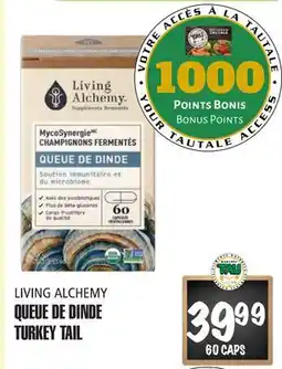 Marches Tau QUEUE DE DINDE TURKEY TAIL LIVING ALCHEMY offer