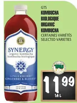 Marches Tau KOMBUCHA BIOLOGIQUE GTS offer