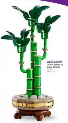 Toys R us LEGO Botanicals Lucky Bamboo offer