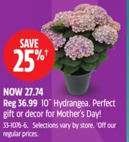 Canadian Tire 10˝ Hydrangea Perfect gift or decor for Mother's Day! offer