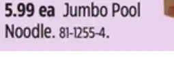 Canadian Tire Jumbo Pool Noodle offer