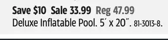 Canadian Tire Deluxe Inflatable Pool offer