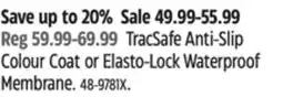Canadian Tire Daich Coatings Colour Coat or Elasto-Lock Waterproof Membrane offer