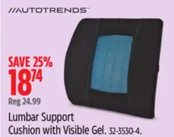 Canadian Tire AutoTrends Lumbar Support Cushion with Visible Gel offer