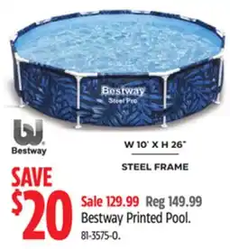 Canadian Tire Bestway Printed Pool offer
