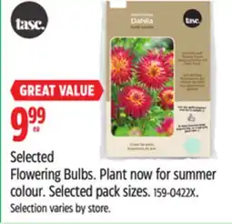 Canadian Tire Bulbs Are Easy Selected Flowering Bulbs offer