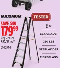 Canadian Tire MAXIMUM FIBREGLASS offer