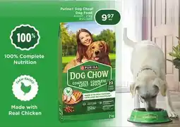 Giant Tiger Purina Dog Chow Dog Food offer