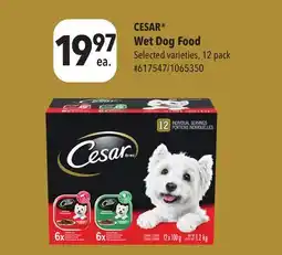 Giant Tiger CESAR Wet Dog Food offer