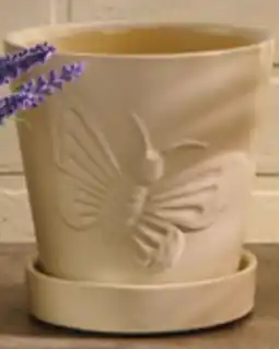 Giant Tiger Indoor planter offer