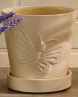 Giant Tiger Indoor planter offer