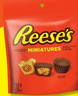 Giant Tiger REESE'S MINIATURES offer