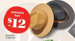 Giant Tiger panama hat offer