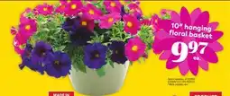 Giant Tiger 10 hanging floral basket offer