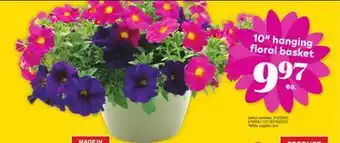 Giant Tiger 10 hanging floral basket offer