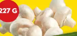 Giant Tiger 227 g whole white mushrooms offer