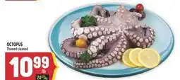 Marché Adonis OCTOPUS offer